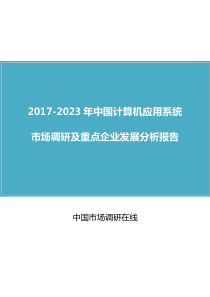 中国计算机应用系统市场调研报告