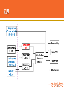 第四讲知觉与个体决策