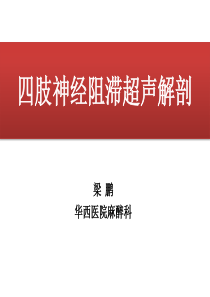 0四肢神经阻滞超声解剖--梁鹏