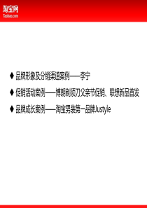 淘宝成功案例简析共32页PPT资料