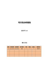 可行性分析报告模板