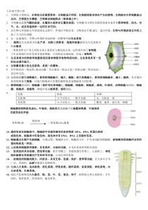 初中生物总复习资料超全}