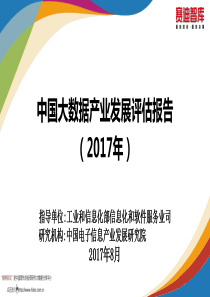 赛迪智库-中国大数据产业发展评估报告(2017年)