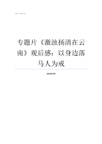 专题片激浊扬清在云南观后感以身边落马人为戒激浊扬清和隐恶扬善