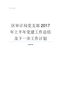 区审计局党支部2017年上半年党建工作总结及下一步工作计划