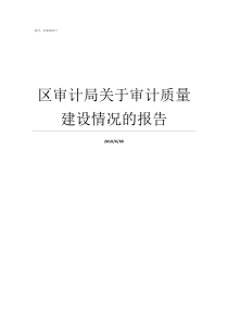 区审计局关于审计质量建设情况的报告审计对质量也管吗