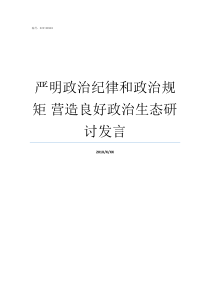 严明政治纪律和政治规矩nbsp营造良好政治生态研讨发言如何严明党的政治纪律