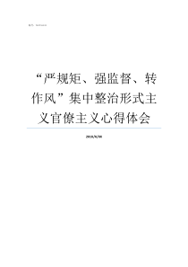 严规矩强监督转作风集中整治形式主义官僚主义心得体会关于开展严规矩强监督