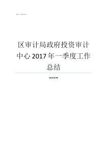 区审计局政府投资审计中心2017年一季度工作总结2019工作总结