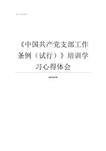 中国共产党支部工作条例试行培训学习心得体会