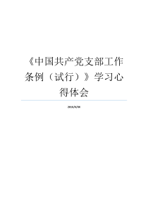 中国共产党支部工作条例试行学习心得体会