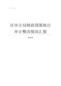 区审计局财政预算执行审计整改情况汇报财政预算执行情况