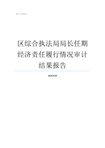 区综合执法局局长任期经济责任履行情况审计结果报告