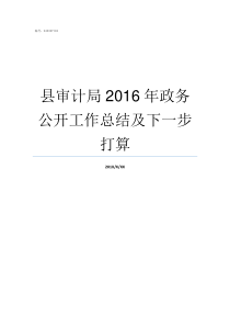 县审计局2016年政务公开工作总结及下一步打算县审计局