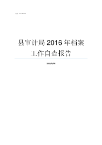 县审计局2016年档案工作自查报告县审计局