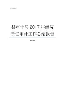 县审计局2017年经济责任审计工作总结报告县审计局