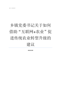 乡镇党委书记关于如何借助互联网农业促进传统农业转型升级的建议乡镇党委书记什么级别