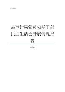 县审计局党员领导干部民主生活会开展情况报告