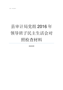 县审计局党组2016年领导班子民主生活会对照检查材料审计局党组文件