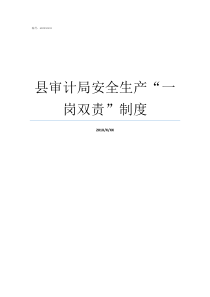 县审计局安全生产一岗双责制度安全生产一岗双责