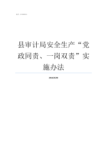 县审计局安全生产党政同责一岗双责实施办法