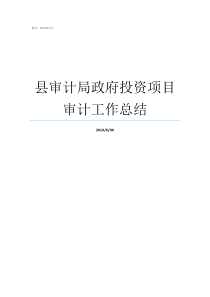 县审计局政府投资项目审计工作总结审计局政府投资中心