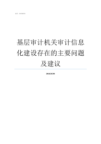 基层审计机关审计信息化建设存在的主要问题及建议基层审计机关存在的困难