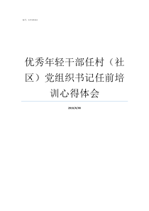 优秀年轻干部任村社区党组织书记任前培训心得体会被选为优秀年轻干部有什么用