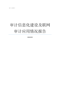 审计信息化建设及联网审计应用情况报告进一步加快审计信息化建设