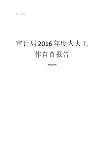 审计局2016年度人大工作自查报告