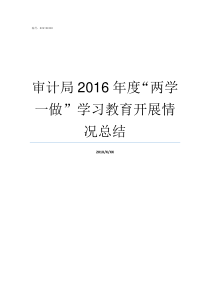 审计局2016年度两学一做学习教育开展情况总结