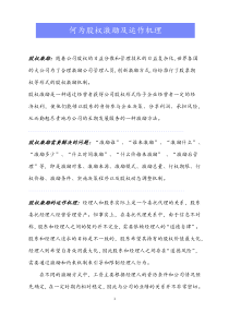 何为股权激励及运作机理docx