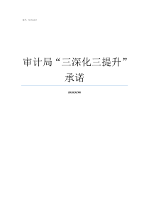 审计局三深化三提升承诺开展三深化三提升