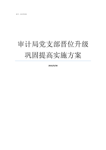 审计局党支部晋位升级巩固提高实施方案党支部晋位升级制度