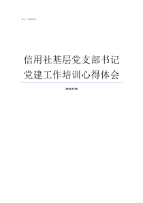 信用社基层党支部书记党建工作培训心得体会如何当好基层党支部书记