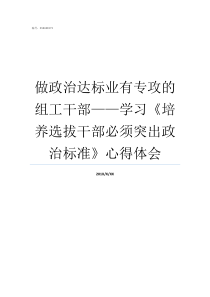 做政治达标业有专攻的组工干部学习培养选拔干部必须突出政治标准心得体会