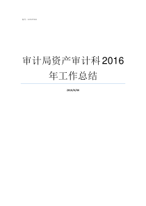 审计局资产审计科2016年工作总结审计局审计科科长