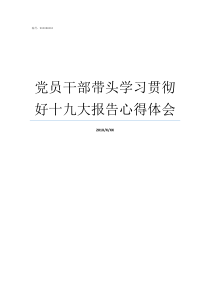 党员干部带头学习贯彻好十九大报告心得体会