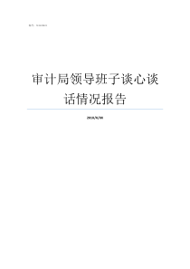 审计局领导班子谈心谈话情况报告