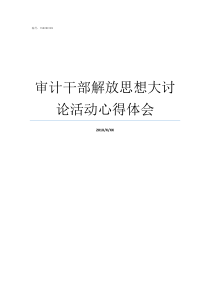 审计干部解放思想大讨论活动心得体会