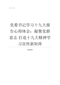 党委书记学习十九大报告心得体会凝聚党群意志nbsp打造十九大精神学习宣传新矩阵