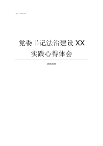 党委书记法治建设XX实践心得体会