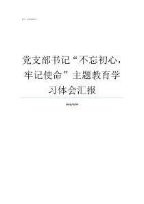 党支部书记不忘初心牢记使命主题教育学习体会汇报党支部书记的初心使命