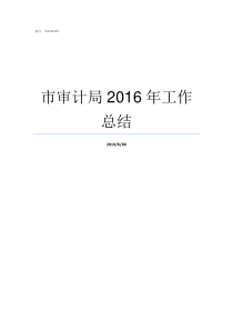 市审计局2016年工作总结