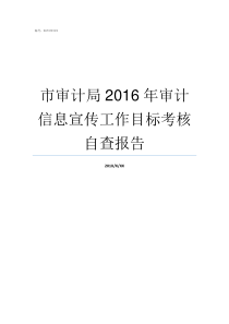 市审计局2016年审计信息宣传工作目标考核自查报告市审计局是干什么的