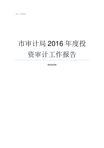 市审计局2016年度投资审计工作报告市审计局是干什么的