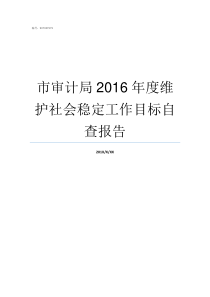 市审计局2016年度维护社会稳定工作目标自查报告市审计局是干什么的