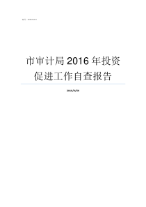 市审计局2016年投资促进工作自查报告市审计局是干什么的