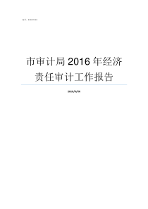 市审计局2016年经济责任审计工作报告市审计局是干什么的