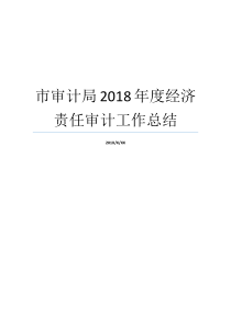 市审计局2018年度经济责任审计工作总结审计局